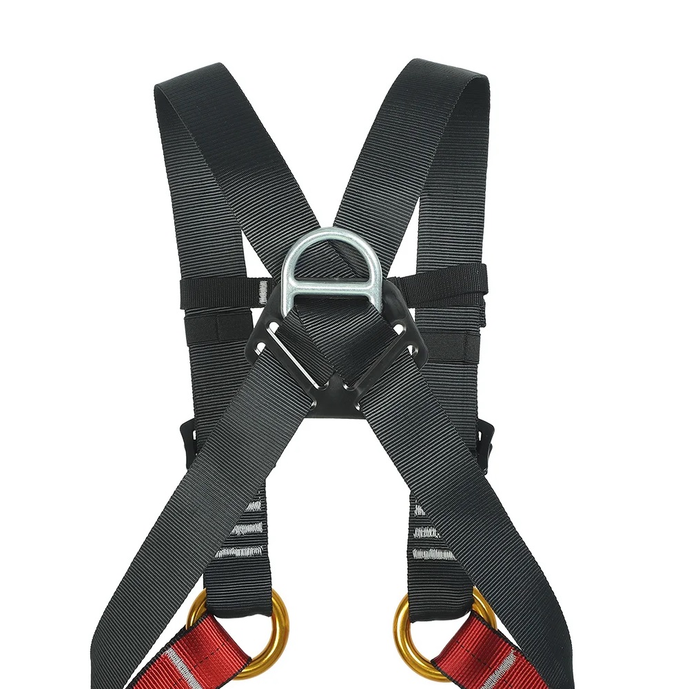 Imbracatura per tutto il corpo - Kids Outdoor Climbing Structure recensione e prezzo