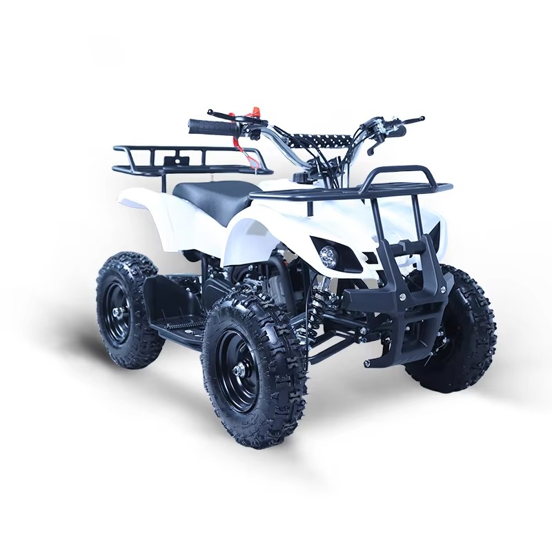 Mini Quad ATV 49cc per Bambini - Kids Outdoor Quad recensione e prezzo