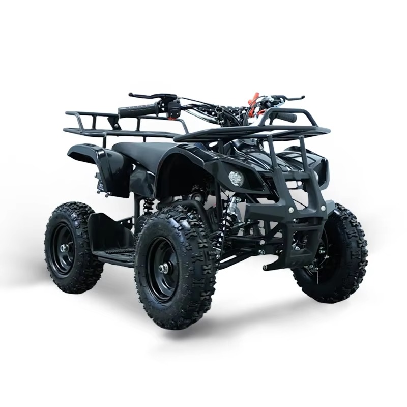 Mini Quad ATV 49cc per Bambini - Kids Outdoor Quad recensione e prezzo